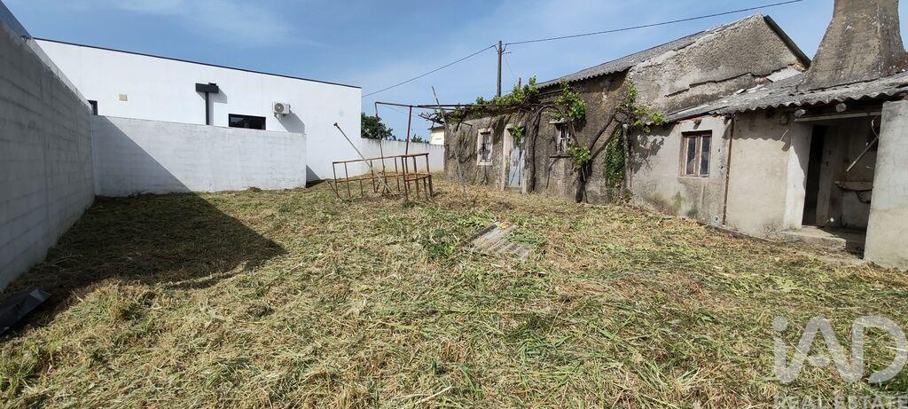 House in Avelar - Image 5