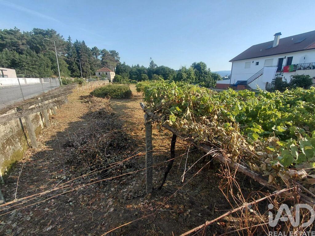 Land in Galvao - Image 5