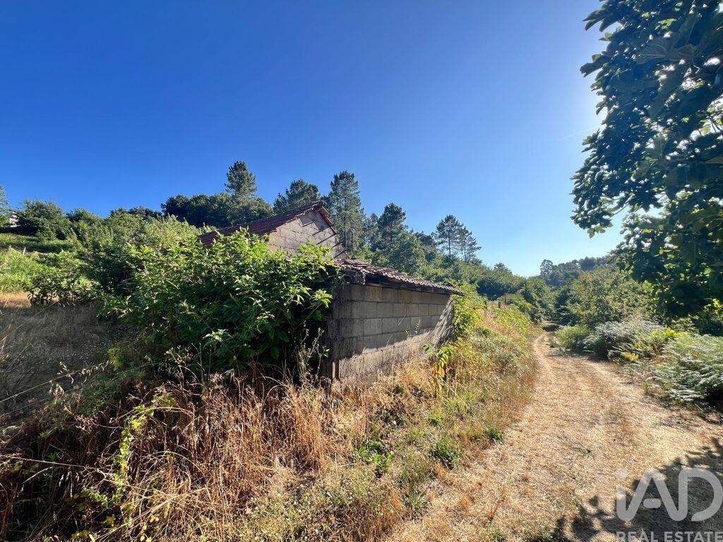 House in Amarante - Image 3