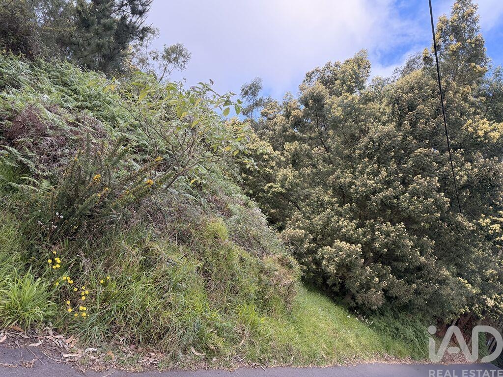 Land in Santa Cruz - Image 2