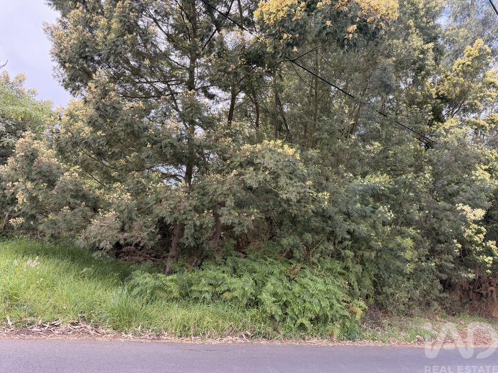 Land in Santa Cruz - view 1