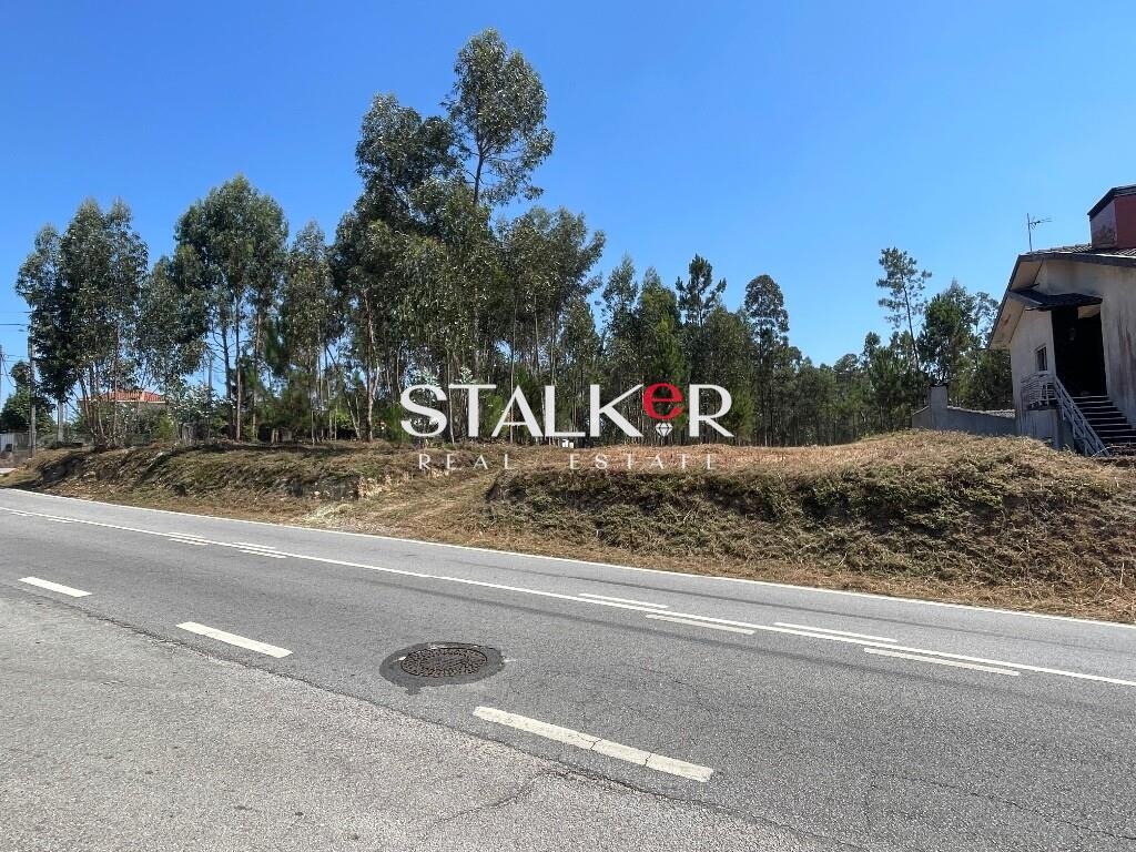 **Terreno Urbano com 6.957 m² em São João de Ver – Excelente Oportunidade de Investimento**