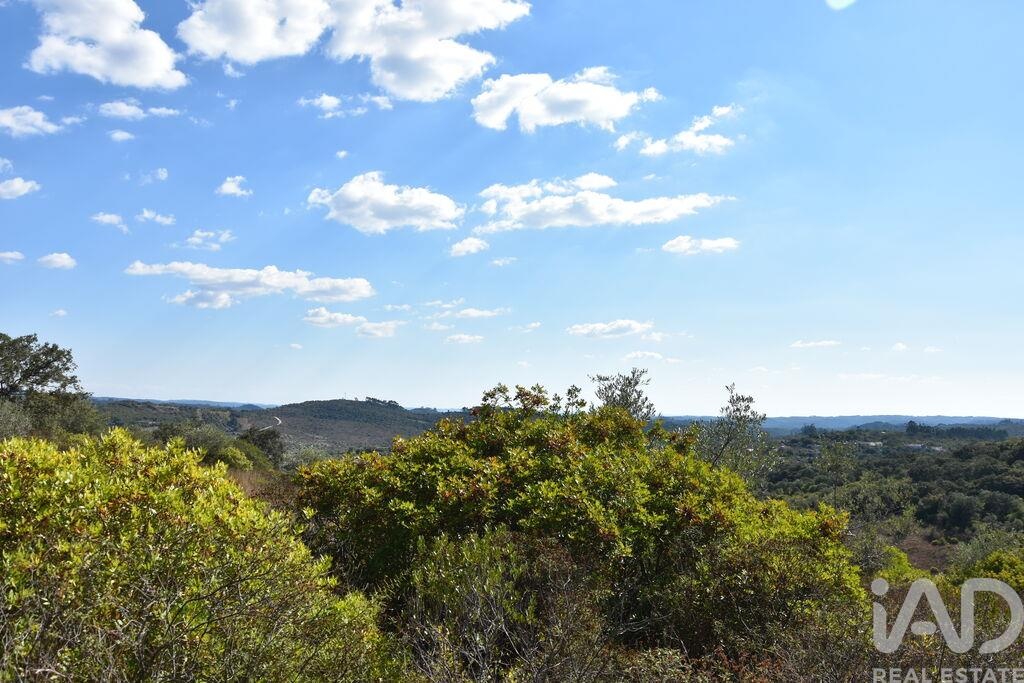 Land in Chaos - Image 5