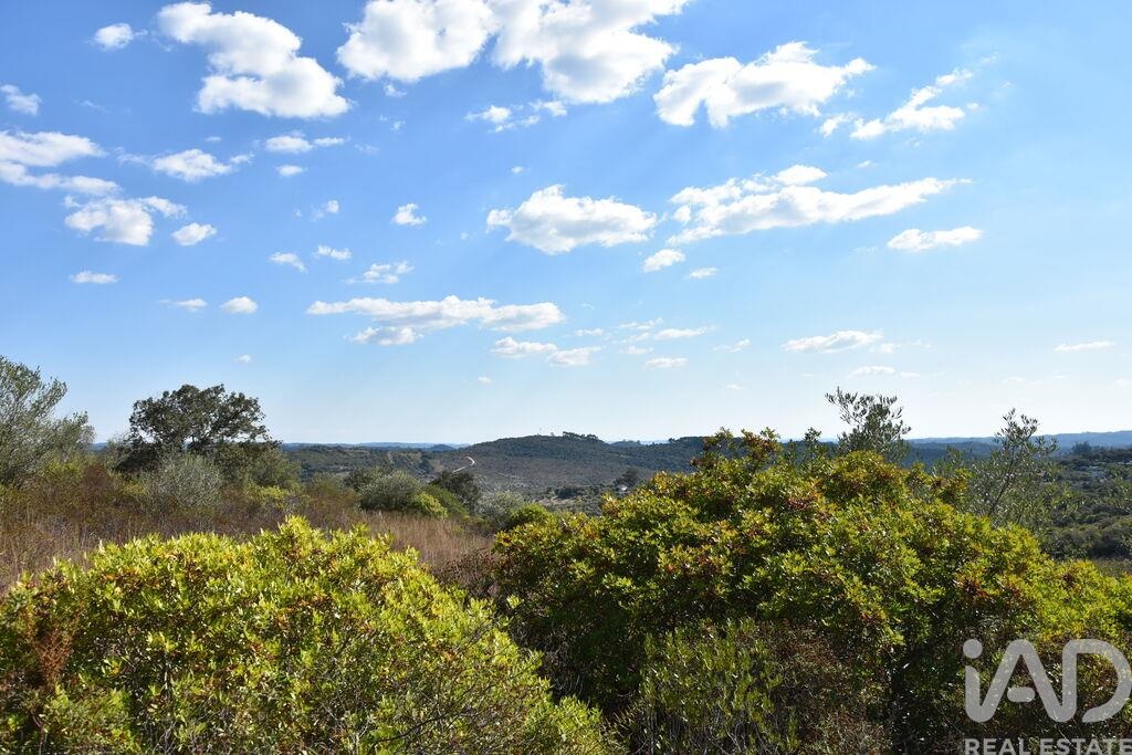 Land in Chaos - Image 4