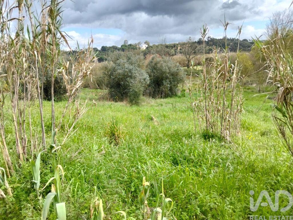 Land in Arruda Dos Pisoes - view 1