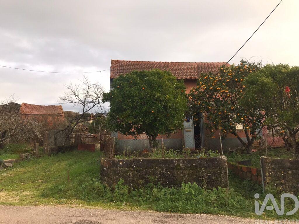 House in Chaos - Image 3