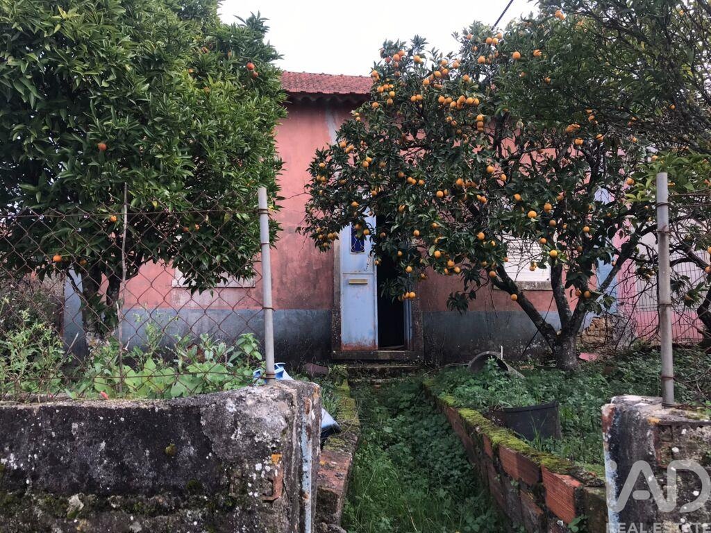 House in Chaos - Image 4