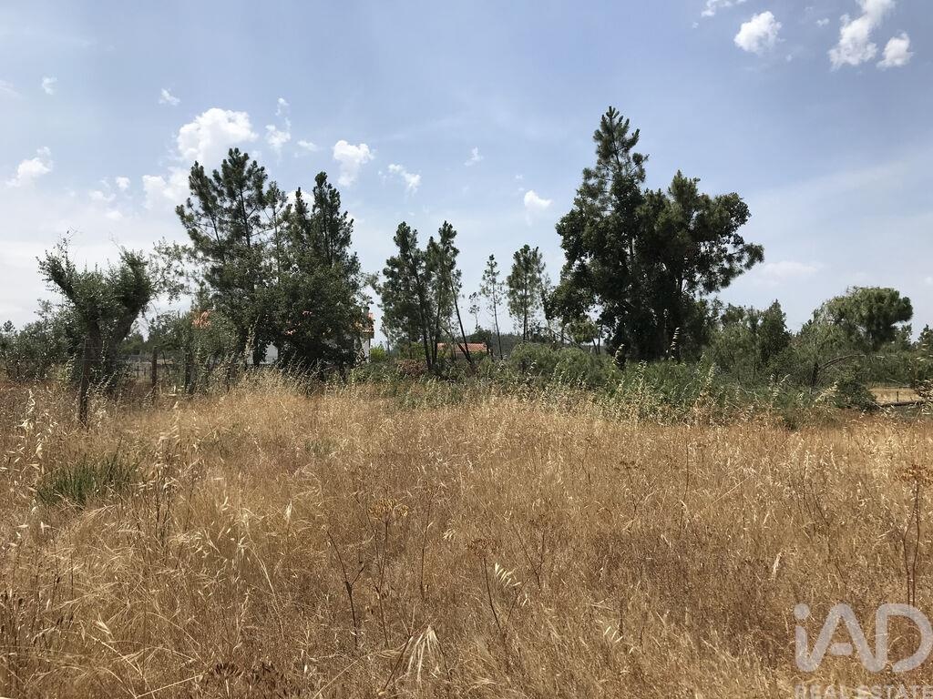 Land in Ribeira do Farrio - view 1
