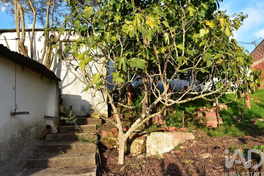 House in Chamusca - Image 4