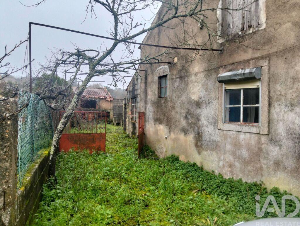 House in Chaos - Image 5