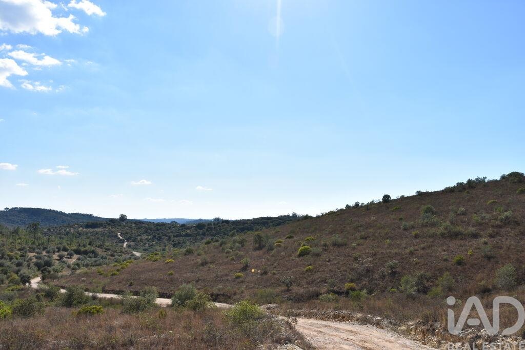 Land in Chaos - Image 2