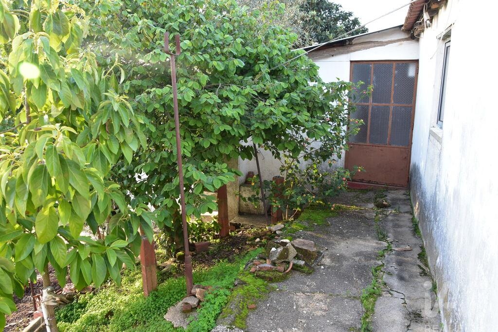 House in Chamusca - Image 3