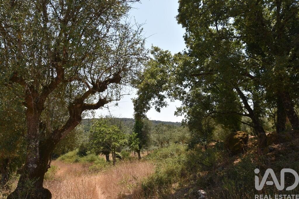 Land in Chaos - view 1