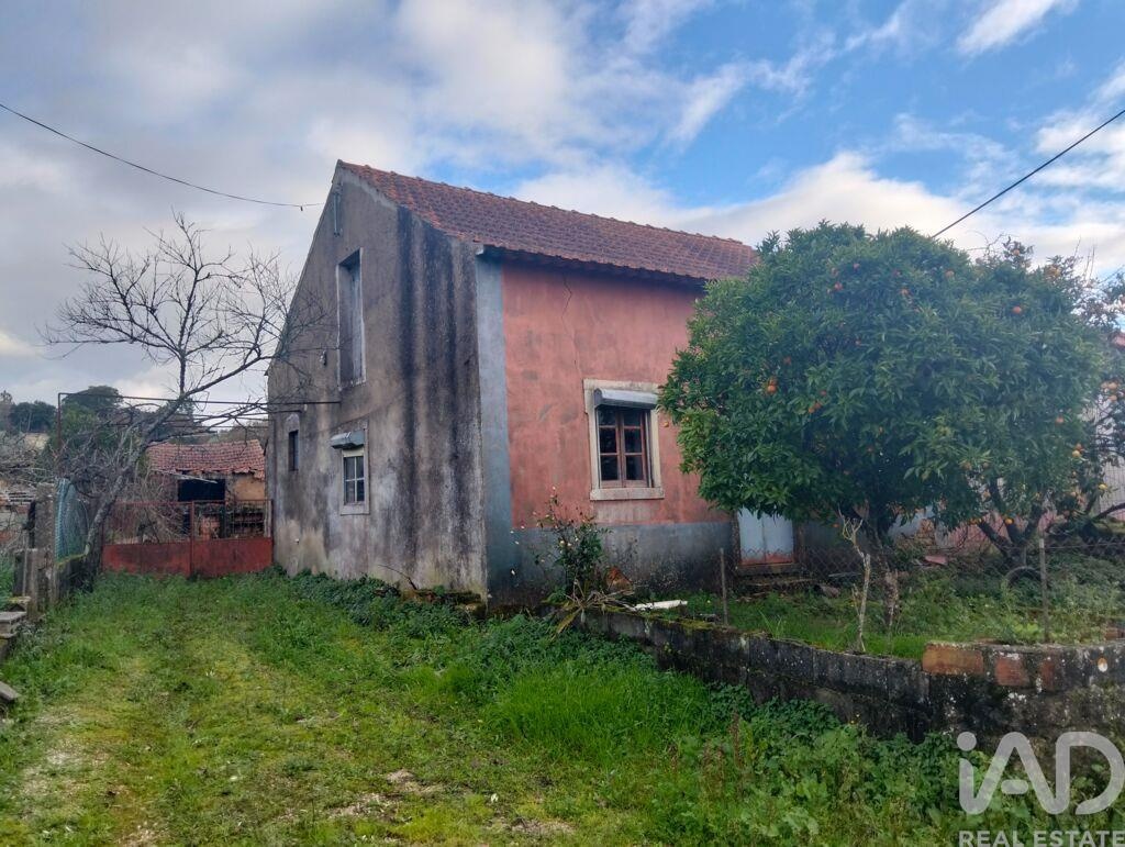 House in Chaos - Image 2