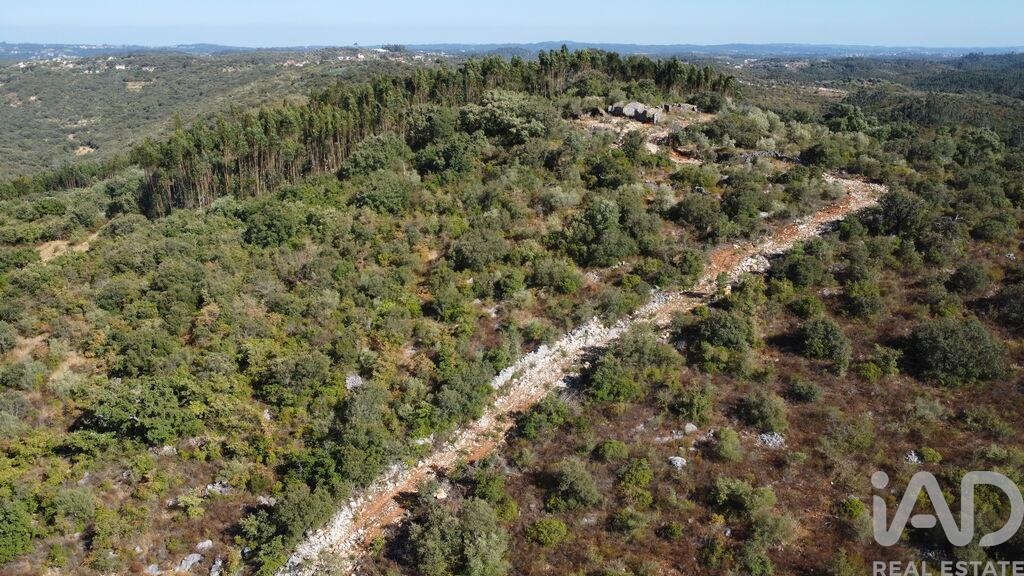House in Farrio - view 1