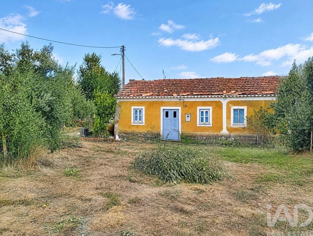 House in Ribeira do Farrio - view 1