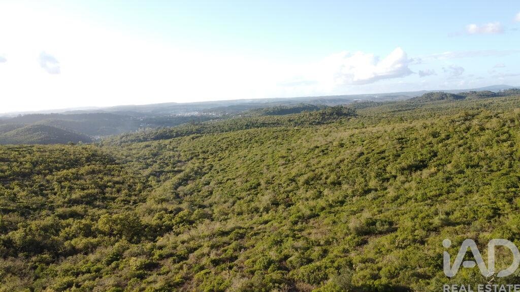 Land in Ribeira do Farrio - view 1