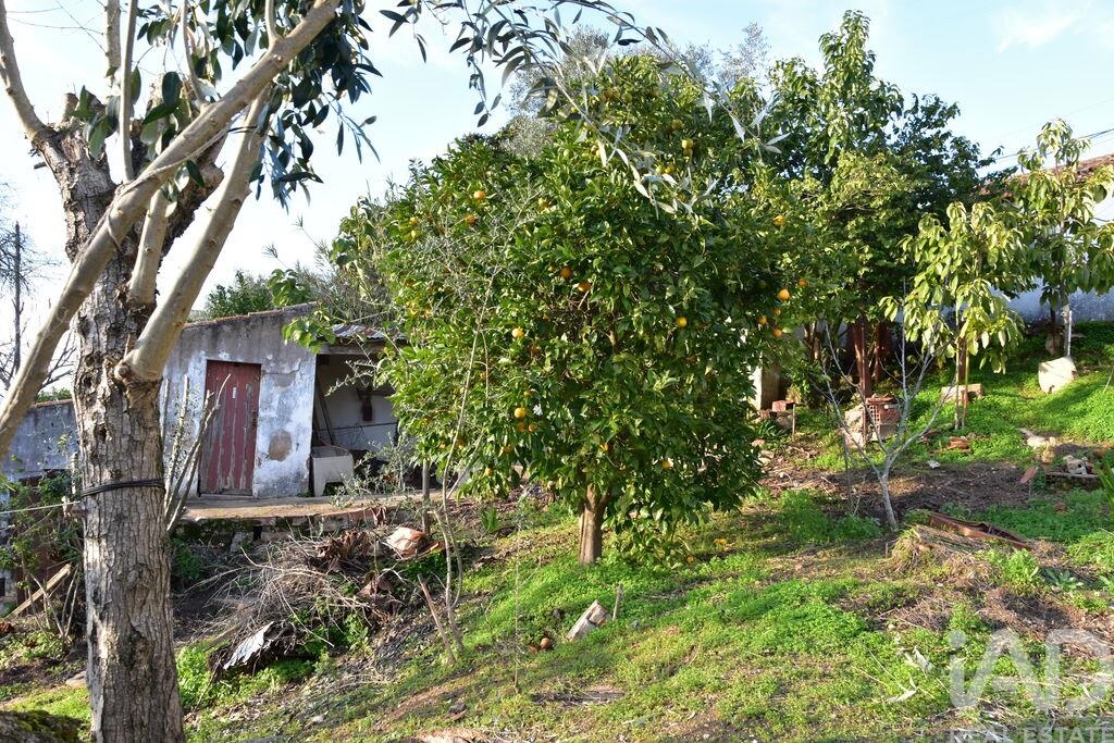 House in Chamusca - Image 2