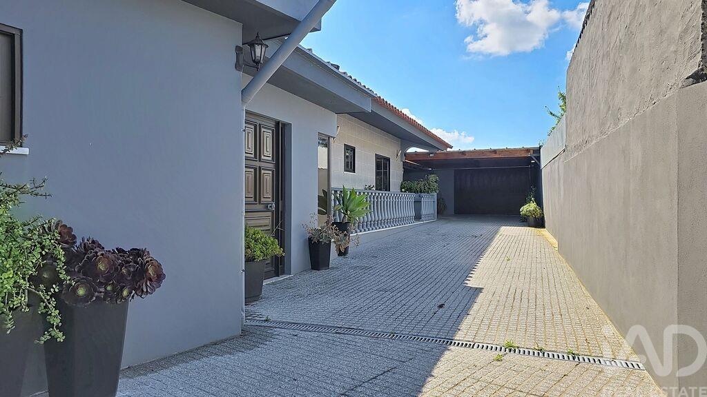 House in Avanca - Image 3