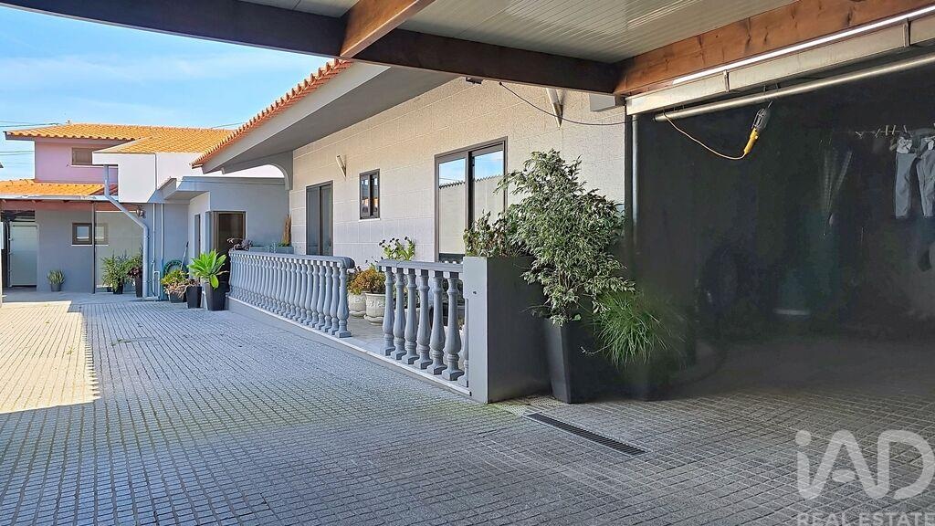 House in Avanca - Image 2
