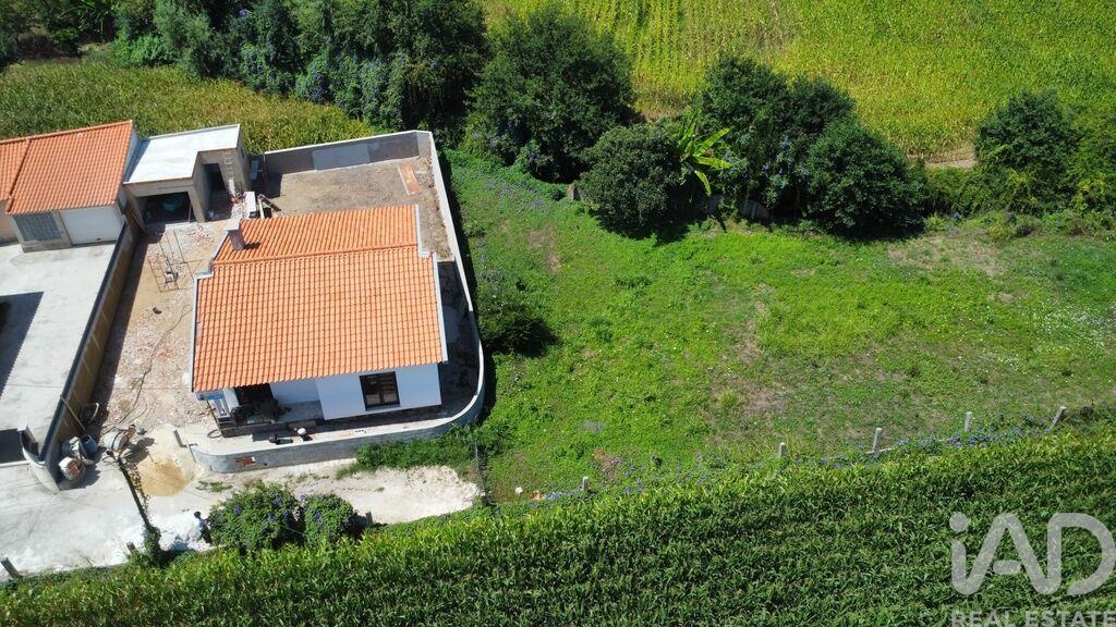 House in Avanca - Image 2