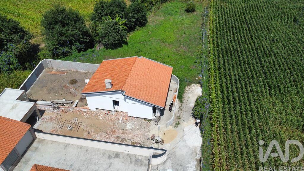 House in Avanca - Image 3