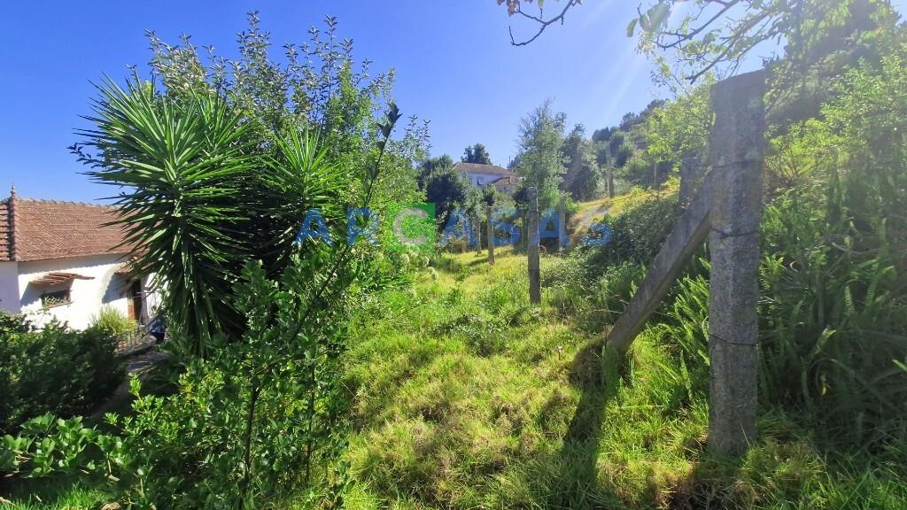 MORADIA V2 LAMELAS_SANTO TIRSO - casa_jardim_terreno_garagem_logradouro_vistas 5