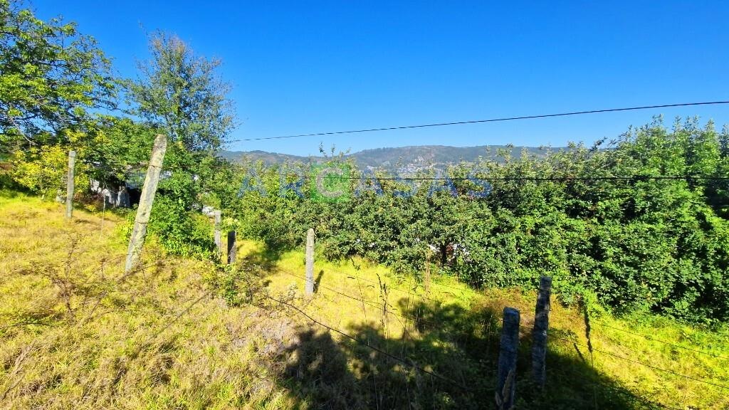 MORADIA V2 LAMELAS_SANTO TIRSO - casa_jardim_terreno_garagem_logradouro_vistas 9