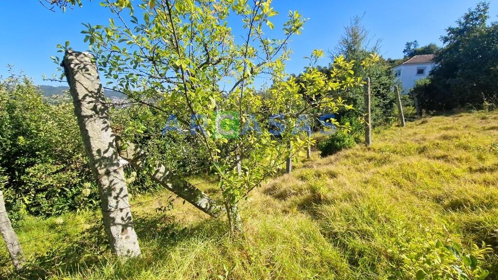 MORADIA V2 LAMELAS_SANTO TIRSO - casa_jardim_terreno_garagem_logradouro_vistas 8