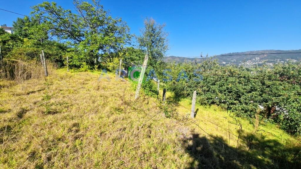 MORADIA V2 LAMELAS_SANTO TIRSO - casa_jardim_terreno_garagem_logradouro_vistas 91