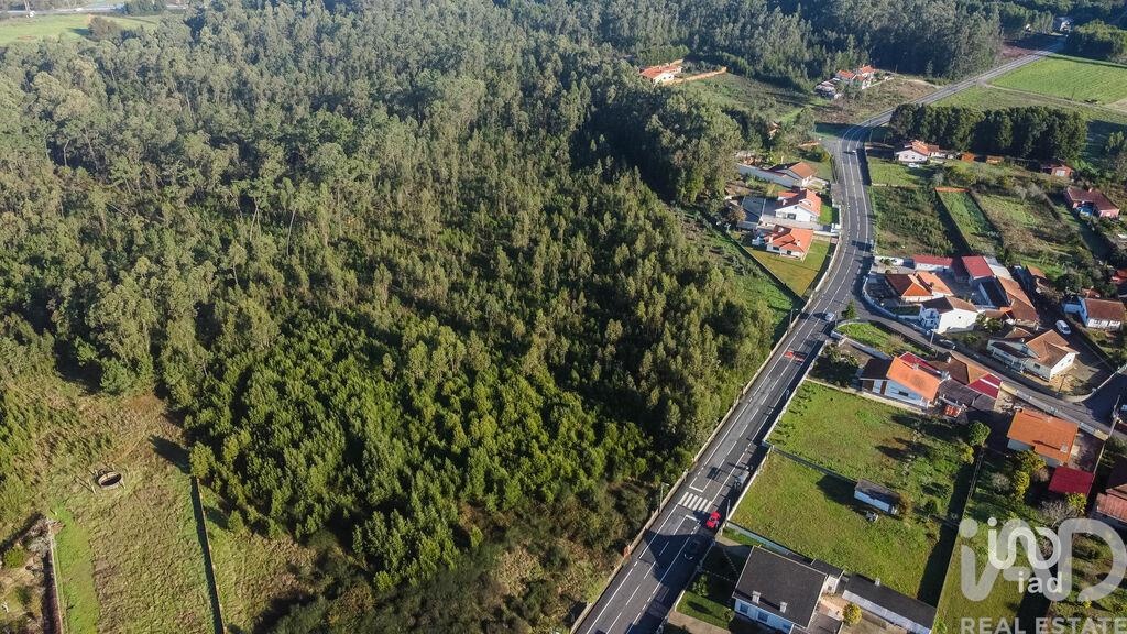 Land in Beduido - Image 3