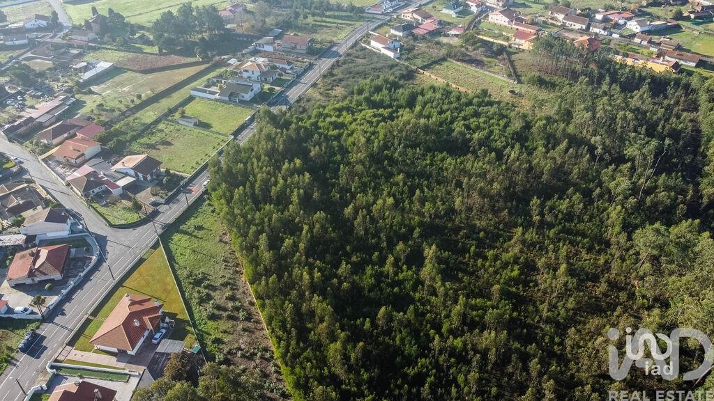 Land in Beduido - Image 5