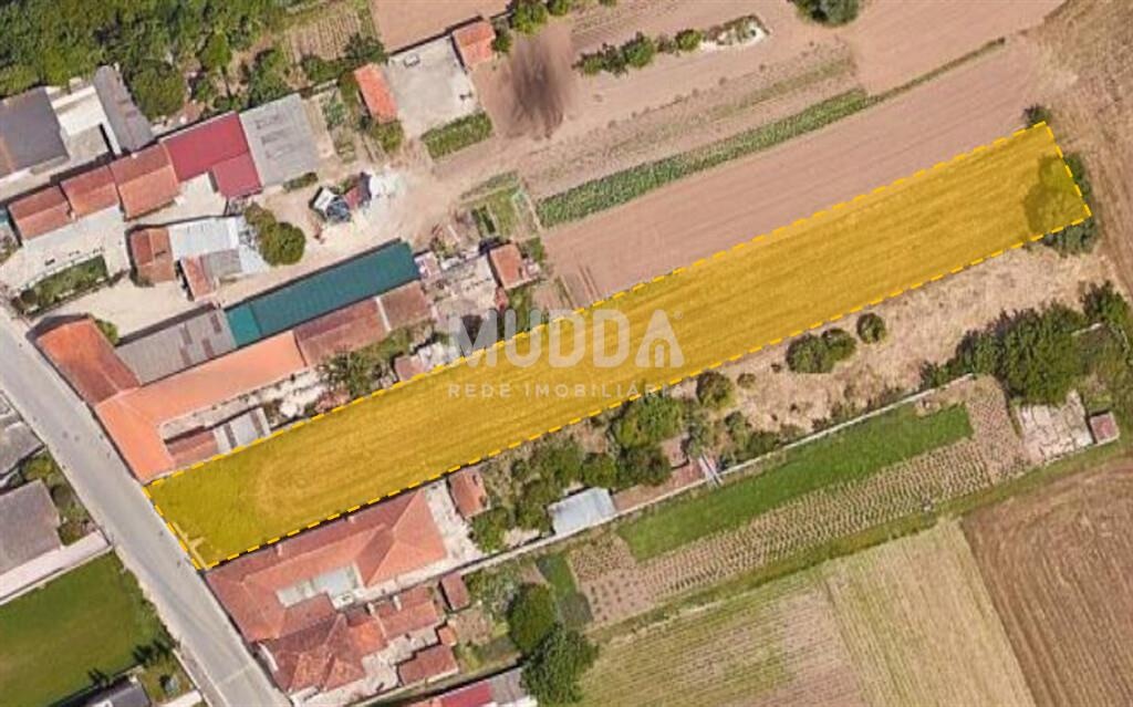 Excelente terreno Urbano em Vale de Ilhavo - São Salvador
