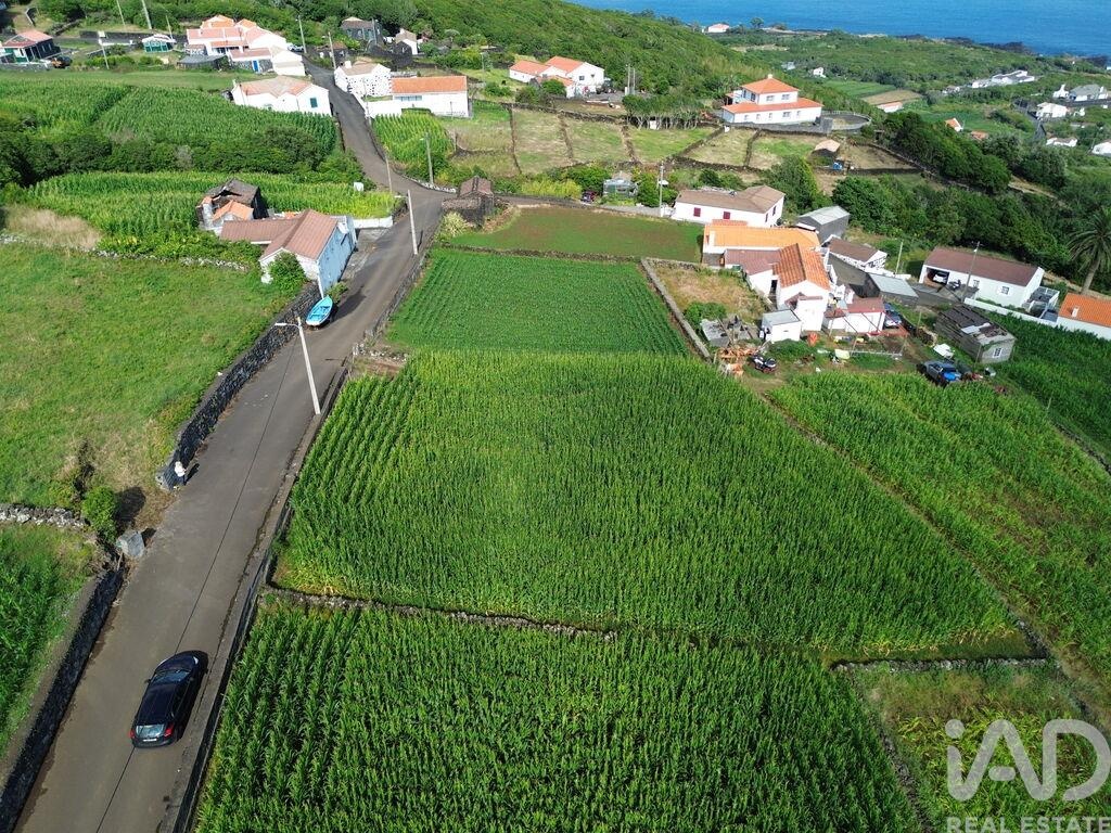 Land in Ribeiras - Image 3