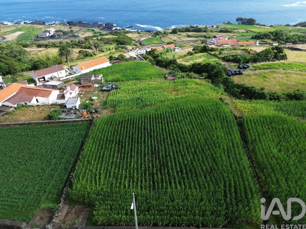 Land in Ribeiras - Image 2