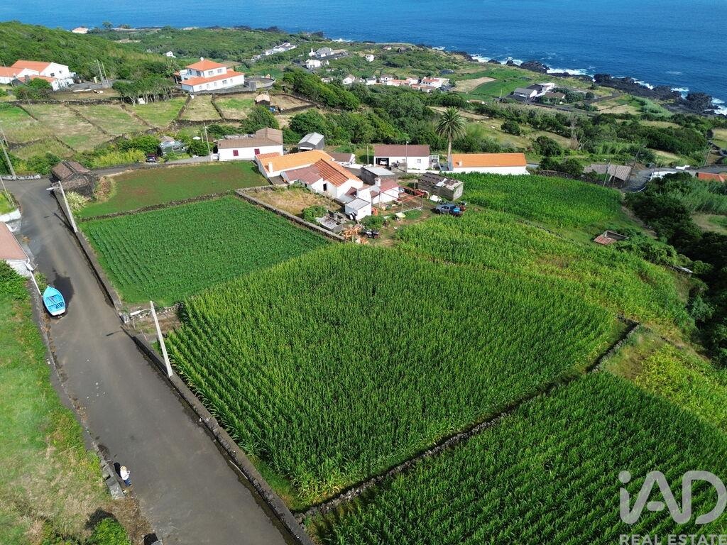 Land in Ribeiras - Image 5