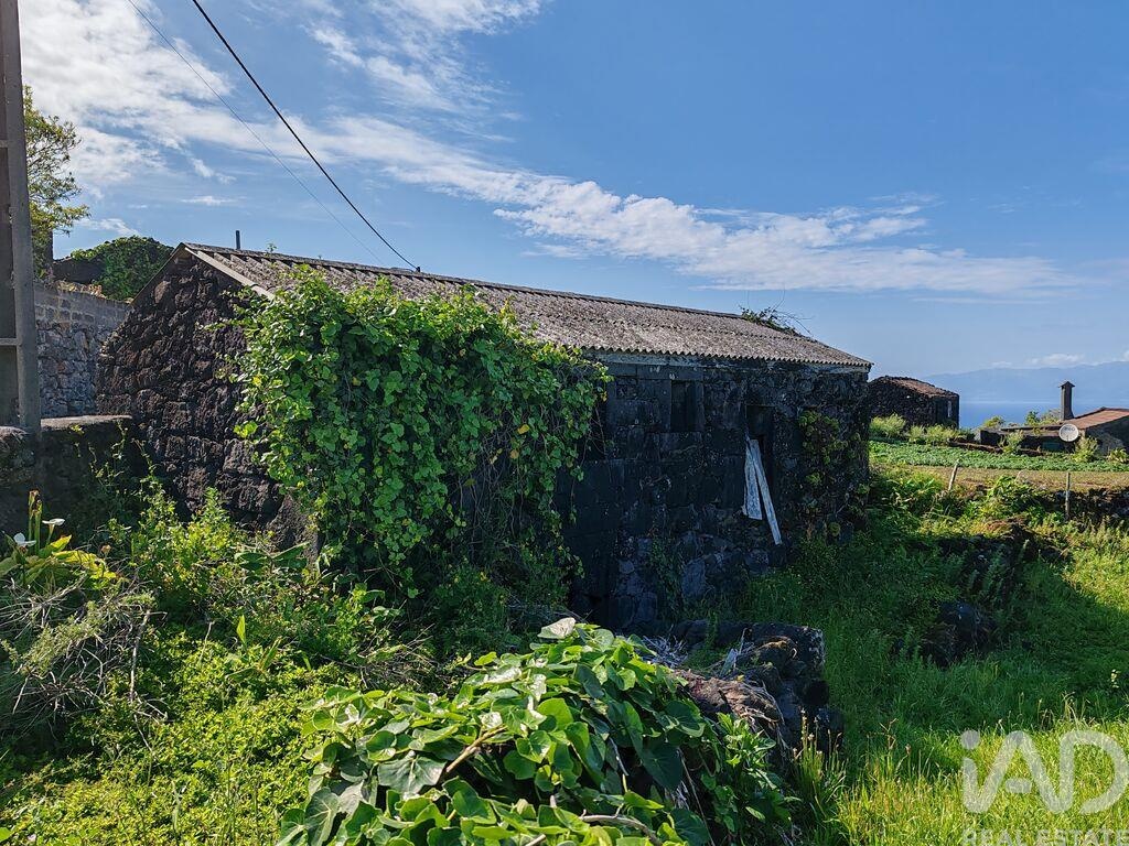 Land in Ribeirinha - view 1