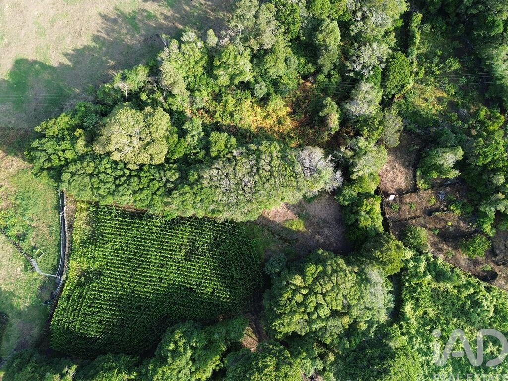 Land in Ribeiras - view 1