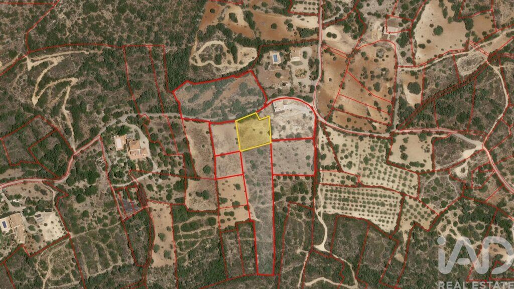 Land in Santa Barbara de Nexe - view 1