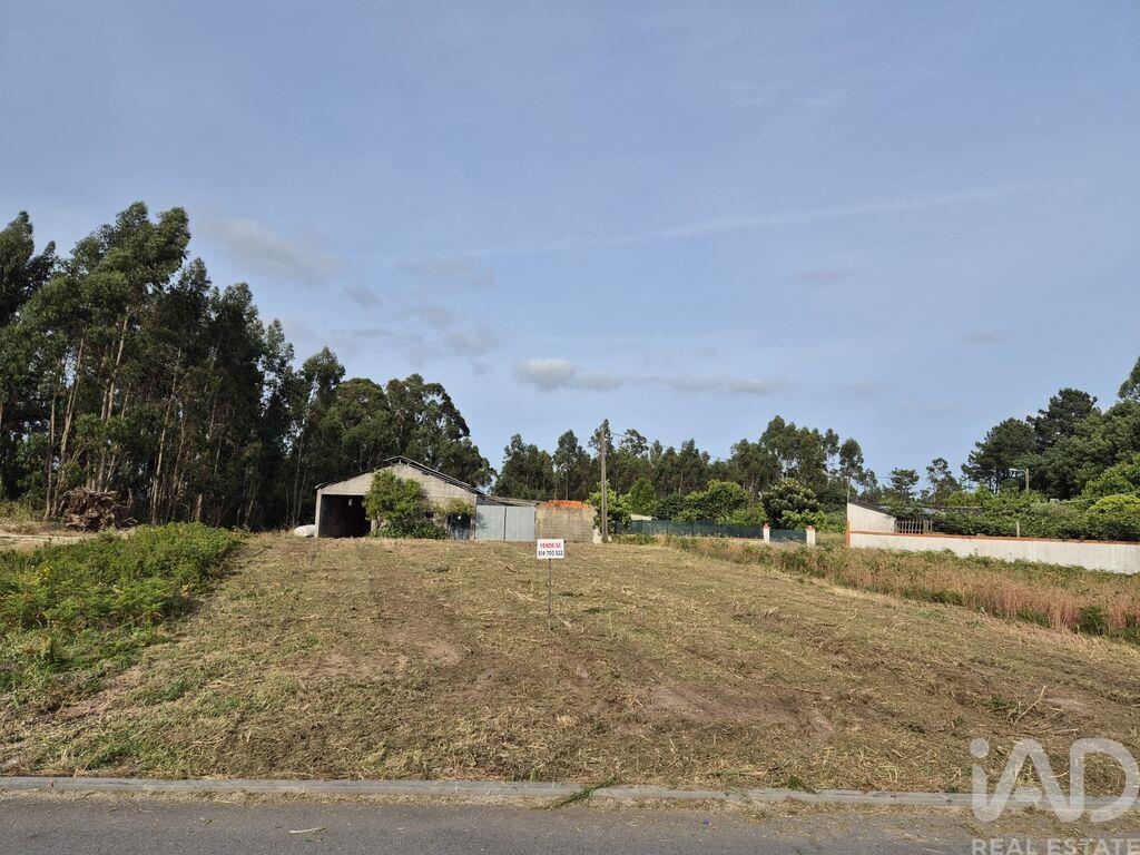 Land in Ponte de Vagos - view 1