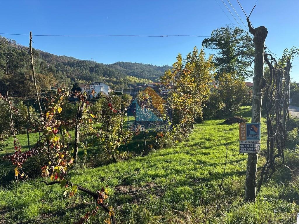 Terreno de Construção com 4.900 m² em Armil