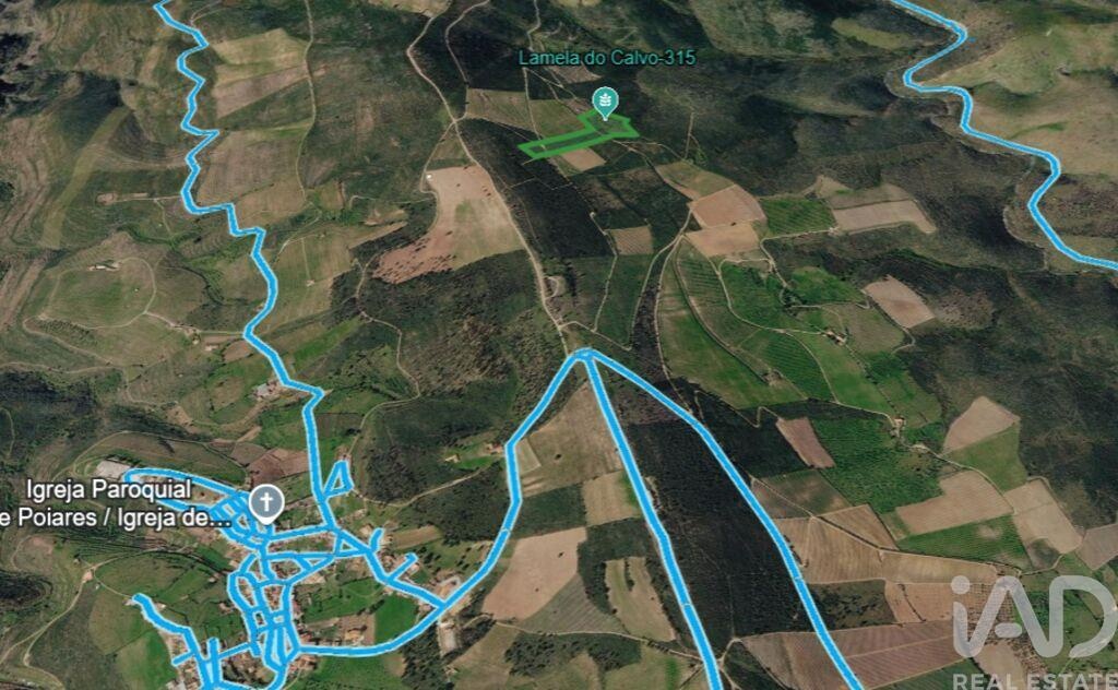 Land in Poiares - Image 2
