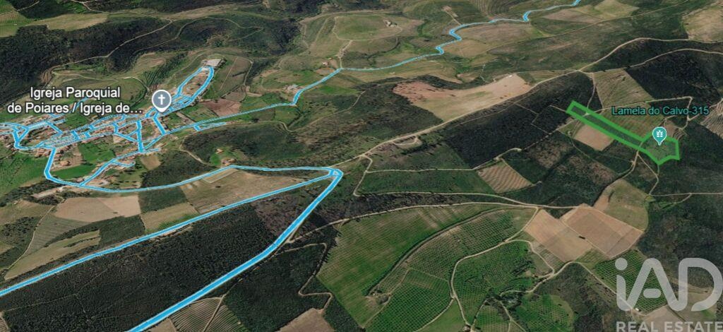 Land in Poiares - Image 4