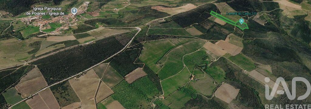 Land in Poiares - Image 3