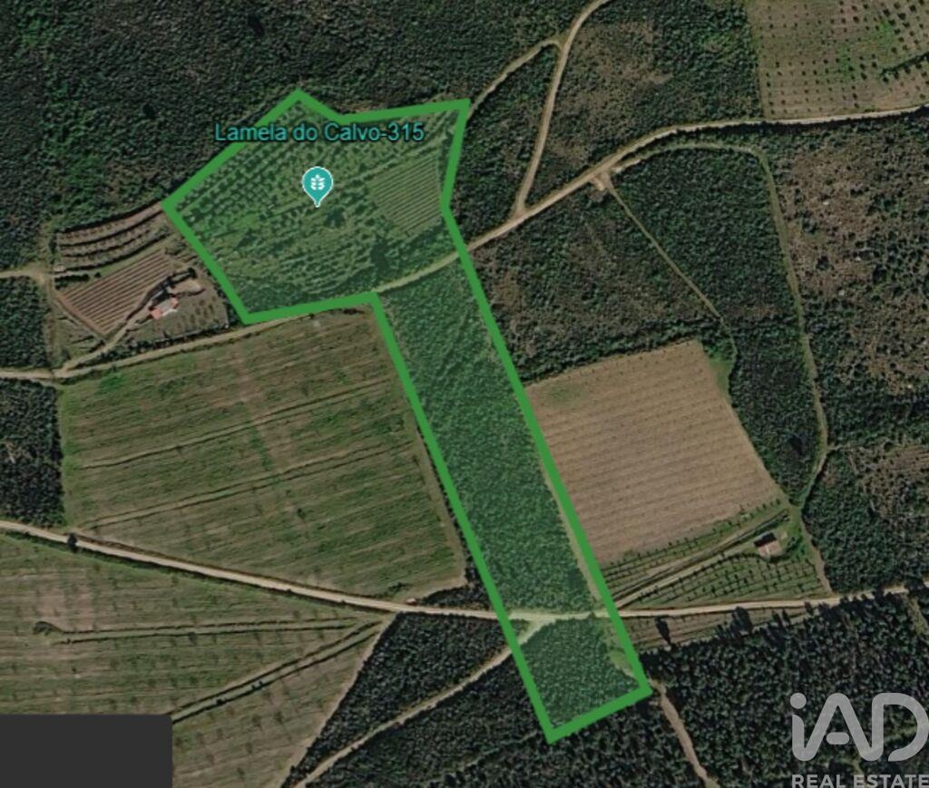 Land in Poiares - view 1