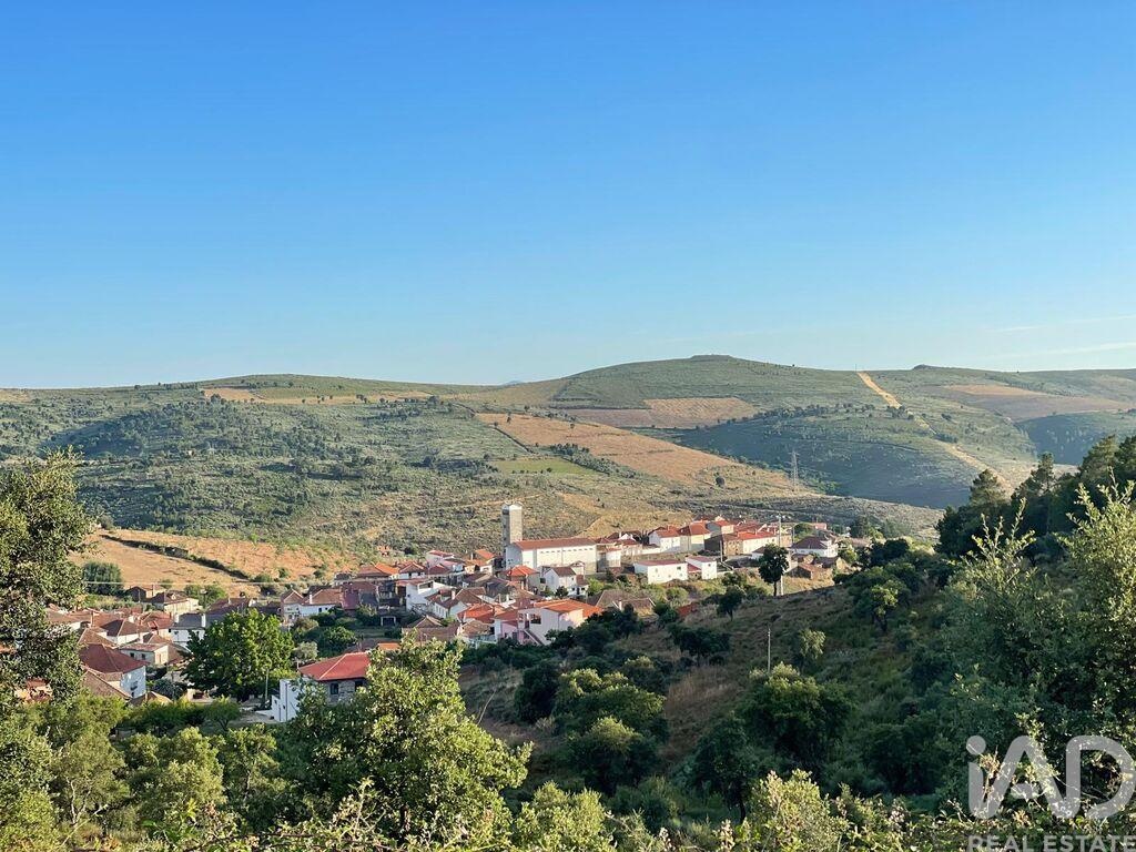 Land in Poiares - Image 5