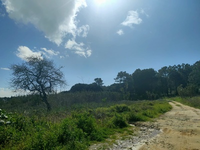 Land for sale in Almada, Portugal — €89,900