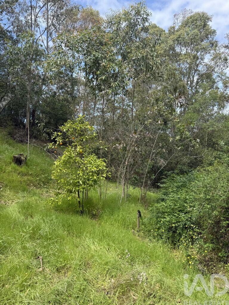 Land in Castelo - Image 2