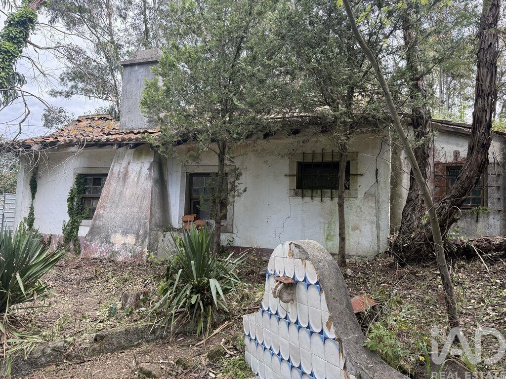 Land in Castelo - Image 4