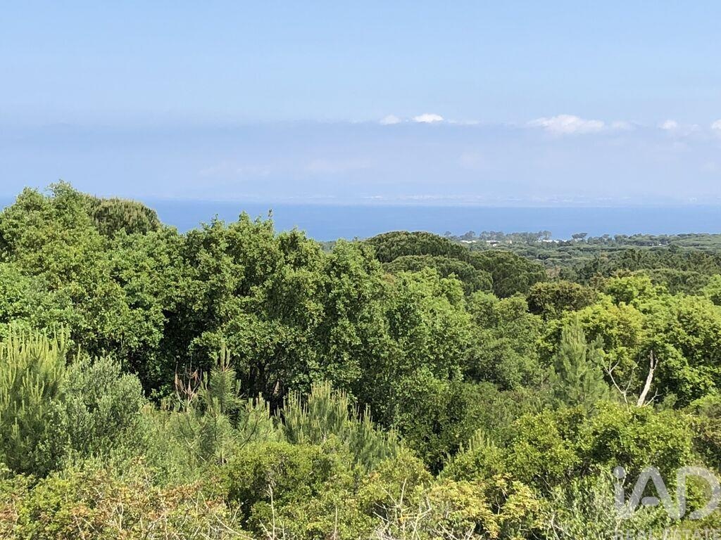 Land in Castelo - view 1